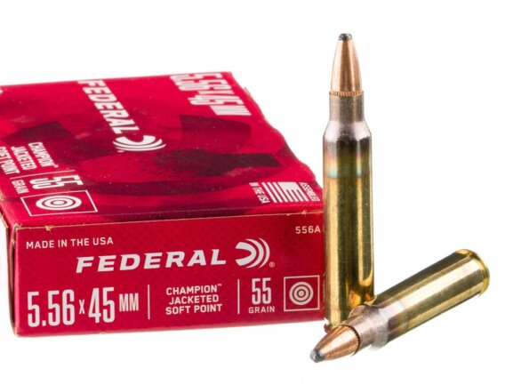 FederalERAL 5.56 X 45 MM 55 GR SOFT POINT, N-556A