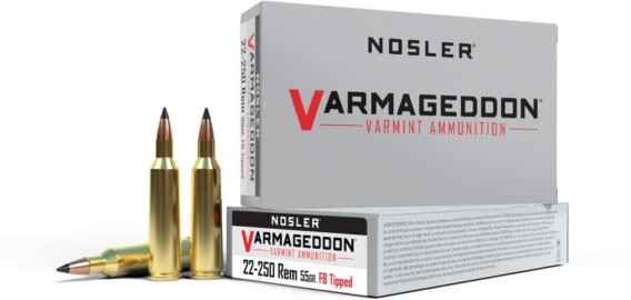 NOSLER 22-250 Remington55GR FB TIPPED, N-65155