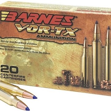 BARNES (21520) 223 REMINGTON 55GR TSX FB, N-BB223R2