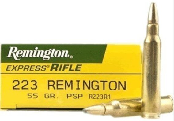 Remingtonc.223 55GR. PTD SP, N-R223R1