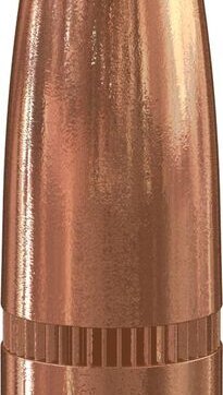 Speer 1632 Rifle Hunting Grand Slam Bullets, 284-145-Gr, 50 Ct, 1508-1145