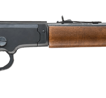 Chiappa LA322 BANDIT 22 LR 12″ TD WOOD, N-920.441